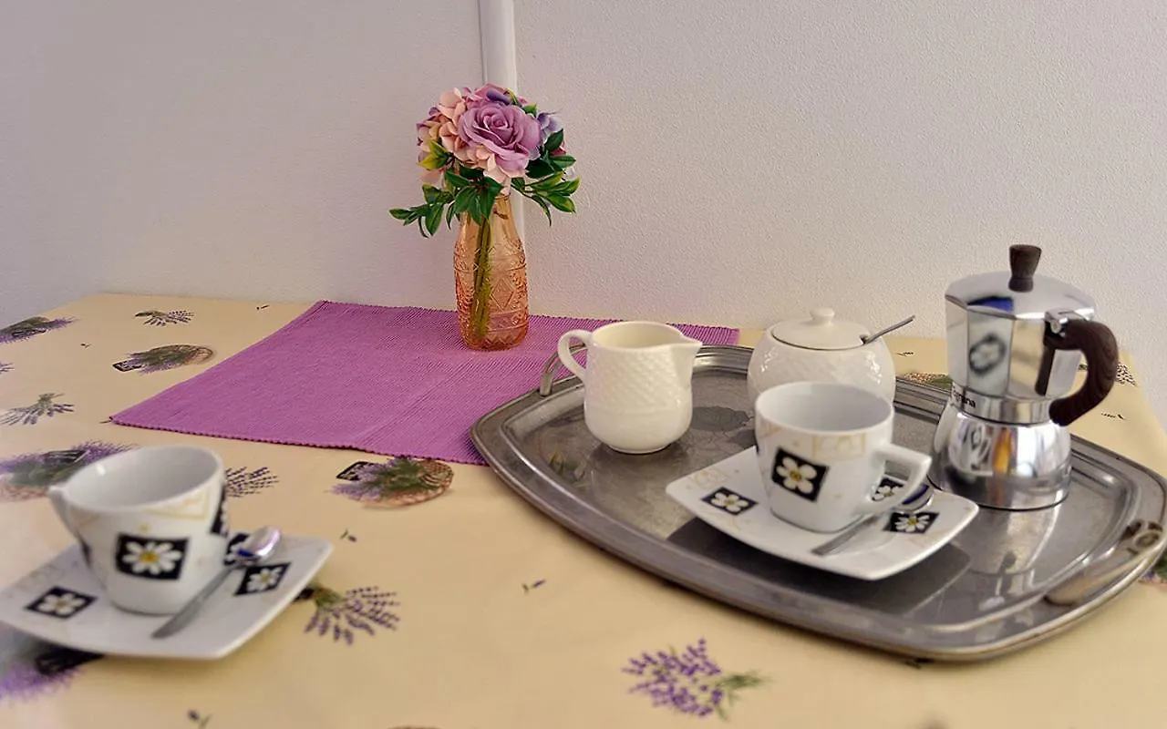 Studio Apartman Nicol Apartment Pula